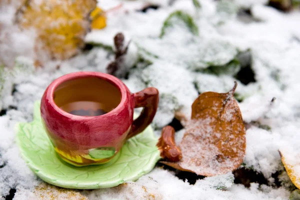 Чашка чая на фоне заснеженных листьев — стоковое фото
