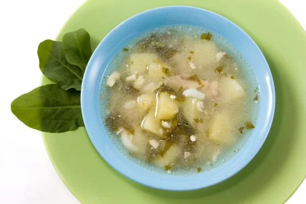 Borsch verde en plato azul — Foto de Stock