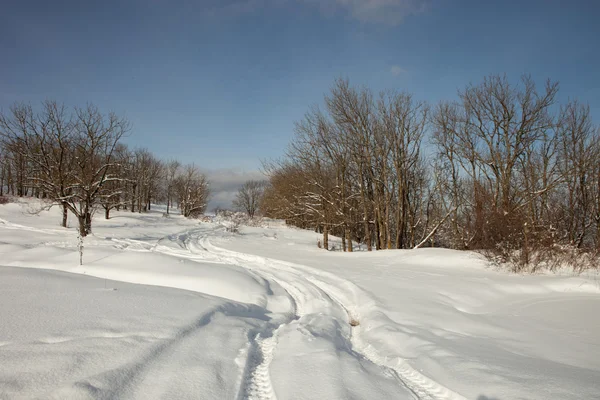 A estrada na floresta de inverno — Fotografia de Stock