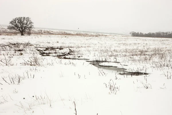 Paysage hivernal sombre — Photo