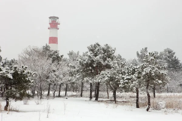 Farol no inverno nevasca, Gelendzhik, Rússia — Fotografia de Stock