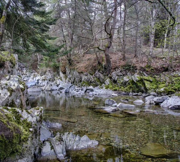 Les Blízko Bruarských Vodopádů Falls Bruar Jsou Série Vodopádů Bruar — Stock fotografie