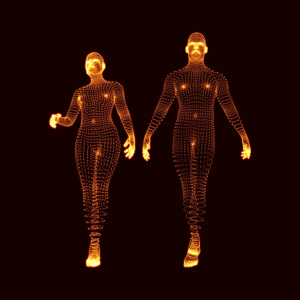 Мужчина и женщина. 3D модель человека. Модель человеческого тела. Сканирую тела. Вид человеческого тела. Векторная графика состоит из частиц . — стоковый вектор