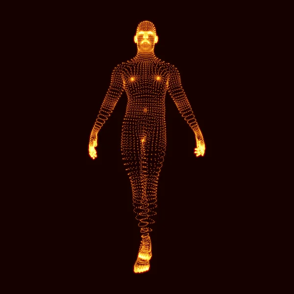 Человек стоит на ногах. 3D модель человека. Модель человеческого тела. Сканирую тела. Вид человеческого тела. Векторная графика состоит из частиц . — стоковый вектор