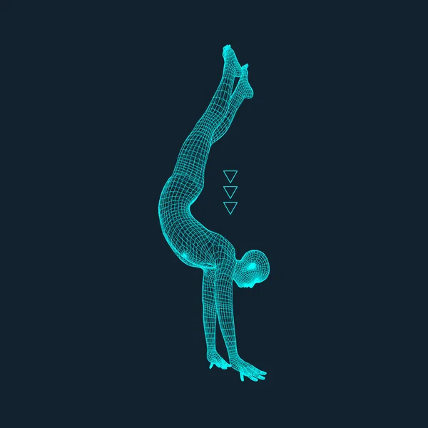 Gimnasta. ¡Hombre! Modelo 3D del Hombre. Modelo de cuerpo humano. Escaneo corporal. Vista del cuerpo humano. Gimnasia Actividades para Icon Health and Fitness Community . — Vector de stock