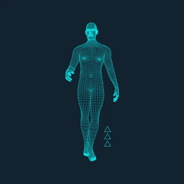 Τρισδιάστατο μοντέλο του Man. πολυγωνικό σχεδιασμού. Γεωμετρικό σχέδιο. Επιχειρήσεων, την επιστήμη και την τεχνολογία διανυσματικά εικονογράφηση. 3D πολυγωνικά κάλυψη δέρμα. Πολύγωνο ανθρώπινο σώμα. Ανθρώπινο σώμα μοντέλο σύρματος. — Διανυσματικό Αρχείο