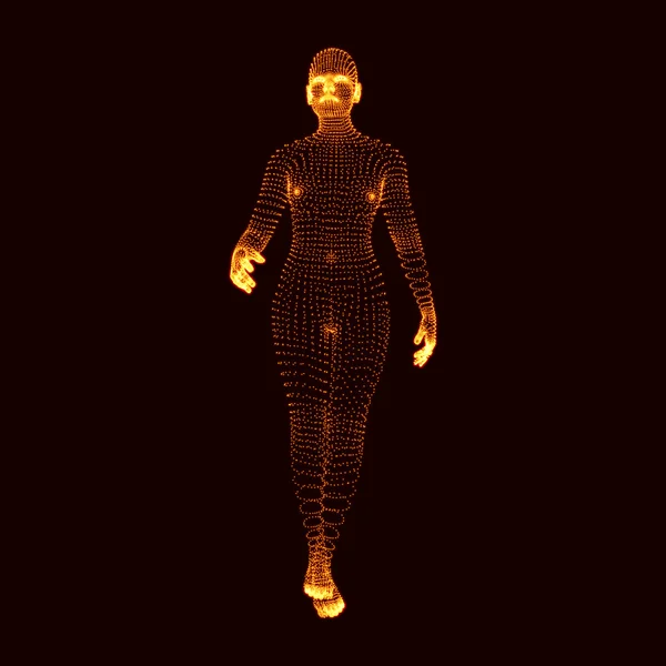 Man Stands on his Feet. 3D Model of Man. Human Body Model. Body Scanning. View of Human Body. Vector Graphics Composed of Particles. — Stock Vector