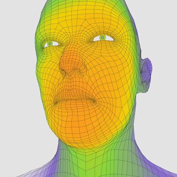 Kopf der Person aus einem 3D-Raster. menschlicher Kopf Draht Modell. menschlicher Polygonkopf. Gesichtsscans. Sicht des menschlichen Kopfes. 3D geometrisches Gesicht Design. 3D polygonale Deckhaut. Geometrie Polygon Mann Porträt. — Stockvektor