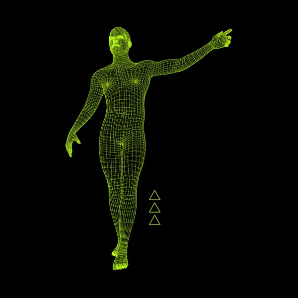 Человек, указывающий пальцем. 3D модель человека. Геометрический дизайн. Векторная иллюстрация. 3d Многоугольная покрывающая кожа. Человеческое многоугольное тело. Модель проволоки человеческого тела . — стоковый вектор