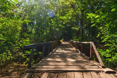Sonbahar ormanında küçük bir nehrin karşısındaki ahşap bir köprü. Sonbaharda manzara. Takvim, mevsimlerin kartpostalı.