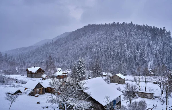 Mountain Village in the Morning. It's snowing in the mountains in a Valley at Mountains Landscape. Fir Tops and Cozy Houses in Carpathians, Tatariv, Ukraine, Europe