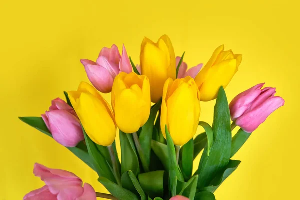 Mehrfarbiger Strauß Rosa Tulpen Auf Gelbem Hintergrund Kopierraum — Stockfoto