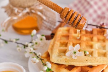 Taze Belçika waffle 'larının üzerine bal dökülüyor. Mineral ve vitamin açısından zengin organik sağlıklı bahar kahvaltısı. Seçici odaklanma. Kiraz çiçekleriyle moda tatlı şekerlemeler