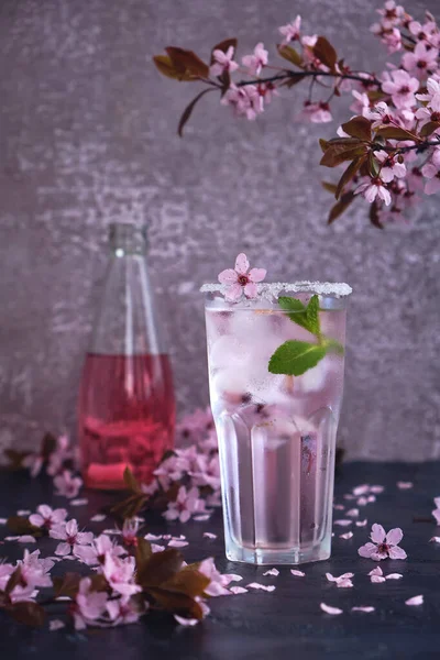 Spring cocktail with condensation. Glass of pink rose champagne, cider or lemonade with ice and mint. Blossom cherry branches above and scattered cherry blossoms. Black and grey background