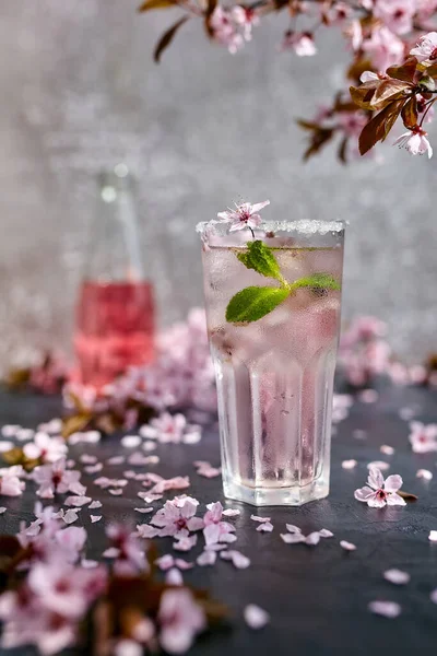 Spring cocktail. Glass of pink rose champagne, cider or lemonade with ice and mint. Blossom cherry branches above and scattered cherry blossoms. Black and grey background