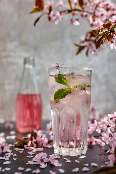Spring cocktail. Glass of pink rose champagne, cider or lemonade with ice and mint. Blossom cherry branches above and scattered cherry blossoms. Black and grey background