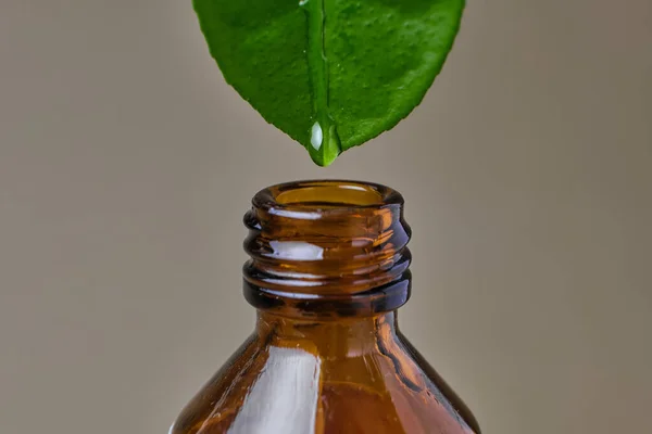 Close Essential Oil Dripping Fresh Natural Leaf Glass Bottle Isolated — Stock Photo, Image