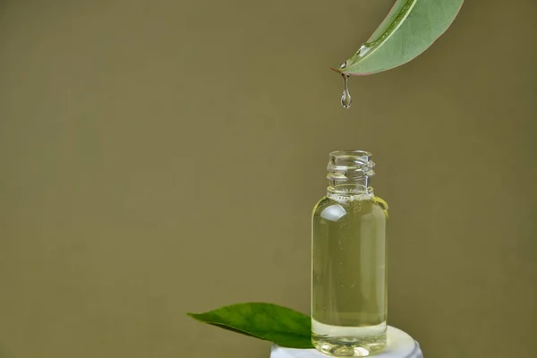 Zbliżenie Olejku Eterycznego Kapanie Świeżego Naturalnego Liścia Szklanej Butelki Piękną — Zdjęcie stockowe