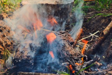 Şenlik ateşi. Yangının turuncu alevi. Izgarada dumanla yakılan şenlik ateşi. Kundakçılık ya da doğal afet. Şenlik ateşi yakın. Doğada ateş. Şenlik ateşi.