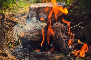 Şenlik ateşi. Yangının turuncu alevi. Izgarada dumanla yakılan şenlik ateşi. Kundakçılık ya da doğal afet. Şenlik ateşi yakın. Doğada ateş. Şenlik ateşi.