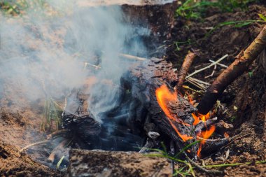 Şenlik ateşi. Doğada kamp ateşi. Dumanla yanan odun. Odunları yakın, şömineyi yakın.