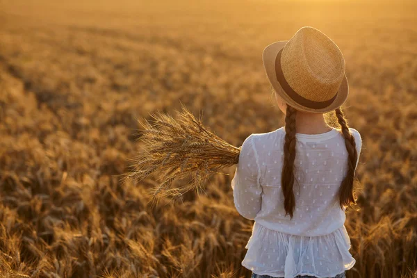 Golden Ears Hands Girl Little Girl Stands Wheat Field Looks — Stock Photo, Image