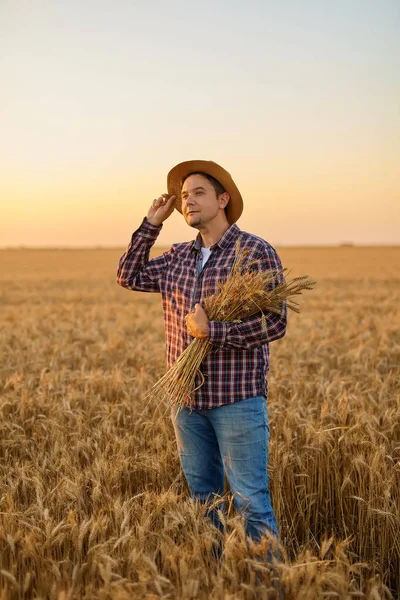日没の作業日後に熟した小麦の束で若い農家を満足させました — ストック写真