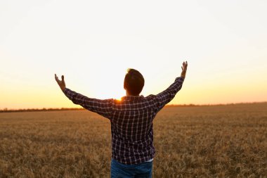 Çiftçi, genç yakışıklı çiftçi gün batımına doğru bakan buğday tarlasında duruyor ellerini güneşe doğru kaldırdı.