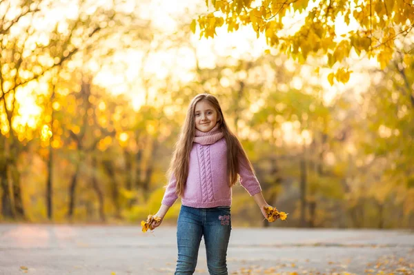 Autumn Outdoor Portrait Beautiful Happy Child Girl Walking Park Forest — Stock Photo, Image