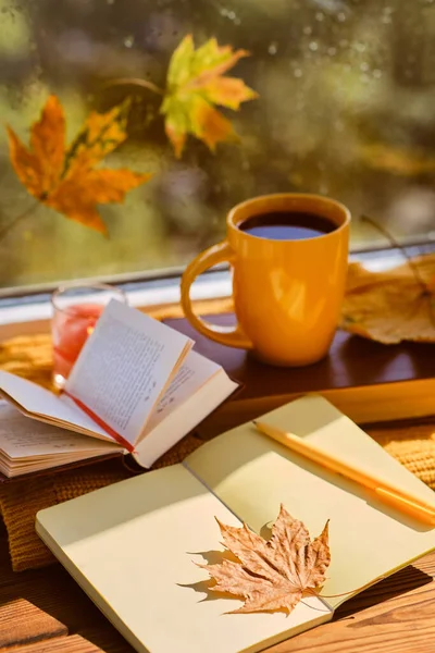 Modo Creativo Tazza Foglie Autunnali Libri Quaderno Plaid Rosso Maglia — Foto Stock