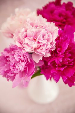 peonies ile beyaz vazo