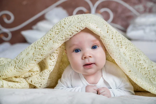 Baby boy is hiding under the white blanket — Stock Photo, Image
