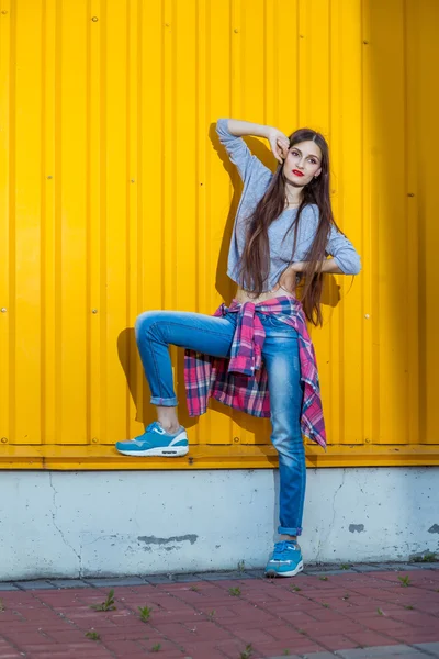 Bela bool menina sobre amarelo parede — Fotografia de Stock