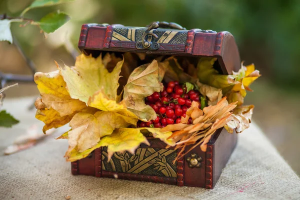 Outdoors picnic close up — Stock Photo, Image