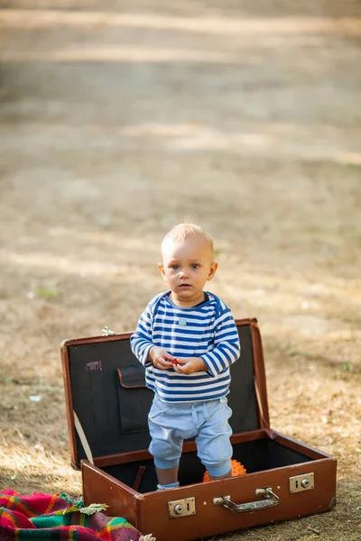 Baby in Case — Stock Photo, Image