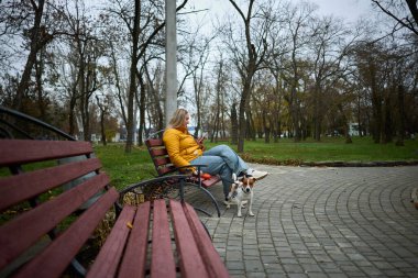 Sarı ceketli genç bir kadın park bankında Jack Russell teriyeri ile dinleniyor, elinde kahve fincanı, sonbahar atmosferi, bulutlu gökyüzü, huzurlu açık hava anı