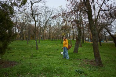 Sarı ceketli genç bir kadın, çıplak ağaçlar ve yeşil çimlerle çevrili bir sonbahar parkında Jack Russell teriyeri ile yürüyor..