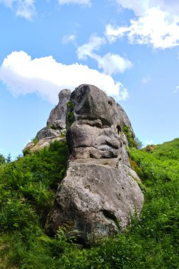 view of historic Tustan rock fortress in Ukrainian Carpathians: wooden viewing platform and fence on ancient cliff edge, overlooking lush green valley and dense forest under partly cloudy sky