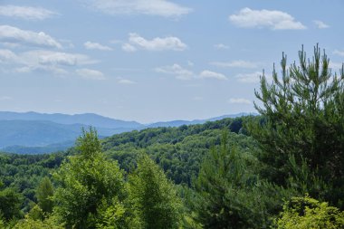 Yoğun ormanlarla kaplı katmanlı mavi-yeşil dağ sırtları, gür ön planda ağaçlar ve çalılar, tüylü beyaz bulutlu parlak mavi gökyüzü, sakin yaz kırsal manzarası