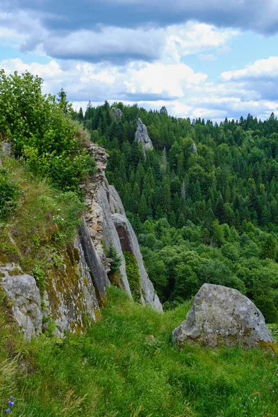 Kayalık uçurum kenarından manzara manzarası: Aşağıdaki derin vadiyi dolduran yoğun yeşil kozalaklı orman, önplanda pürüzlü kayalar ve kır çiçekleri, uzak tepeler üzerinde parçalı bulutlu gökyüzü