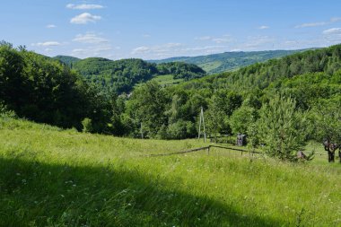 Ukrayna Karpatları 'ndaki yemyeşil kaygan tepelerin ve yoğun karışık ormanın panoramik görüntüsü. Parlak mavi gökyüzünün altında dağılmış bulutlar ve yazın kırsal alanların uzak tepeleri.