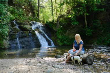 Kadın ve köpeği, huzurlu bir doğa inzivası sırasında orman şelalesinin yanında dinleniyor ve bereketli yabanda evcil hayvan dostu bir seyahat macerası.