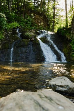 Temiz bir havuza dökülen bir orman şelalesinin sakin dikey görüntüsü. Düşük açılı perspektif ve güneşli kayalar doğa için barışçıl bir atmosferi çağrıştırıyor.