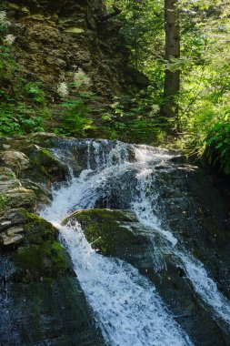 Temiz bir havuza dökülen bir orman şelalesinin sakin dikey görüntüsü. Düşük açılı perspektif ve güneşli kayalar doğa için barışçıl bir atmosferi çağrıştırıyor.