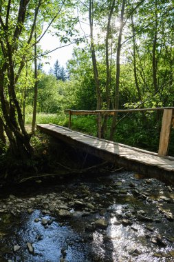 Basit bir ahşap köprü bereketli bir yaz ormanında sığ bir kayalık nehri geçer. Güneş ışığı ağaçların arasından süzülerek kırsal ve doğa yolculuklarının huzurlu bir manzarasını yaratır.