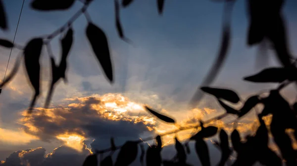 Autumn Sunset Clouds — Stock Photo, Image