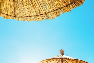 Deniz sahilinde güneşten korunmak için şemsiyeler - otelde tatil - tropik bölgelere turist gezisi