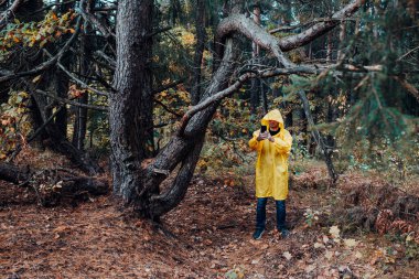 Yağmur üstüne sonbahar ormanı - sarı yapraklar ve hüzünlü ruh hali - doğanın renkleri