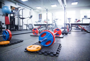 vücut geliştirme egzersiz donanımları