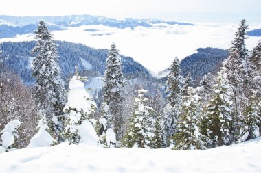 Karla kaplı yüksek dağların güzel kış manzarası